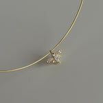 TAŞLI ARI CHOCKER