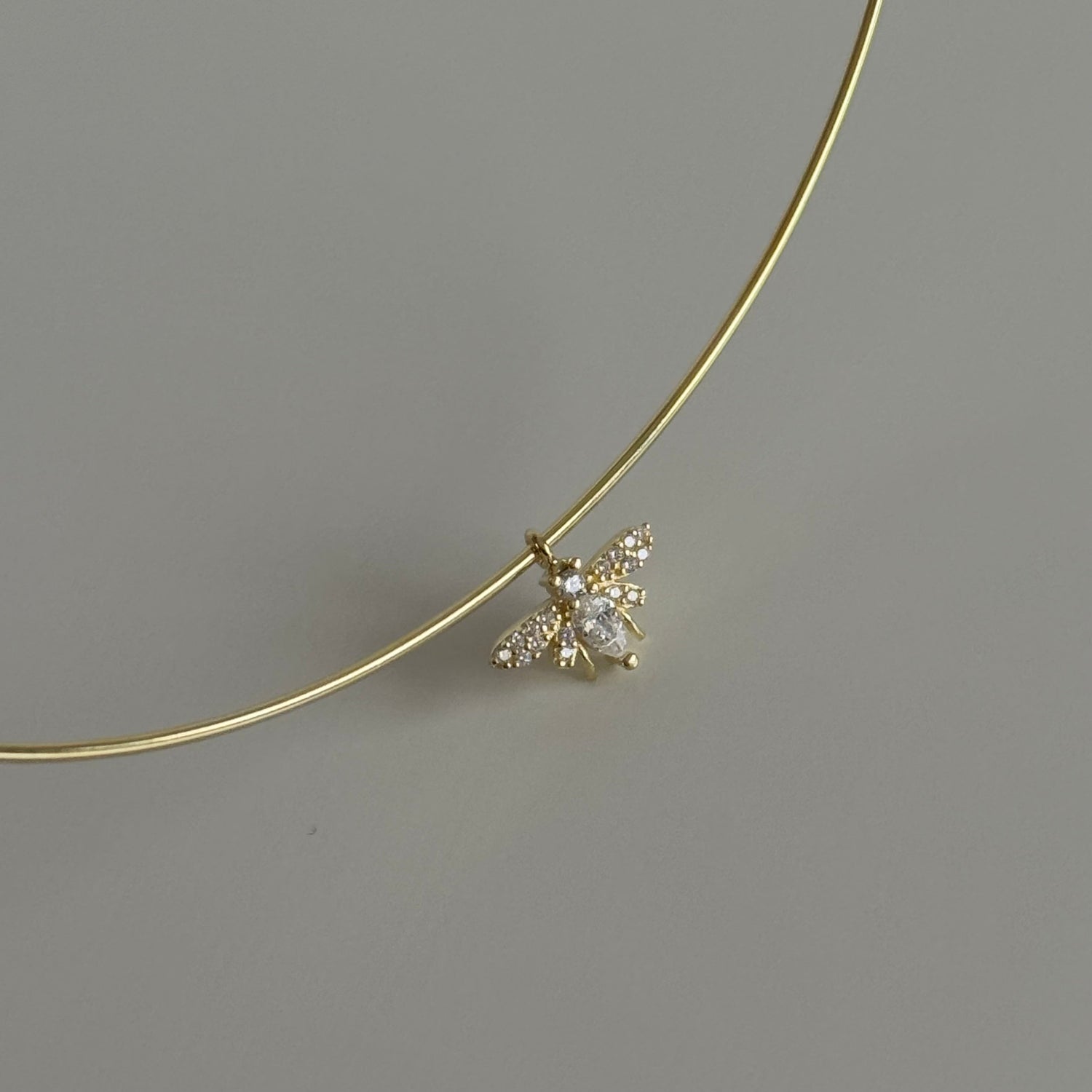 TAŞLI ARI CHOCKER