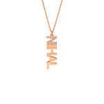 İLK HARF TAŞLI DİKEY İSİM KOLYE