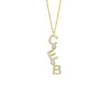 ZİRKON TAŞLI HARFLİ DİKEY CHOCKER KOLYE