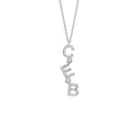 ZİRKON TAŞLI HARFLİ DİKEY CHOCKER KOLYE